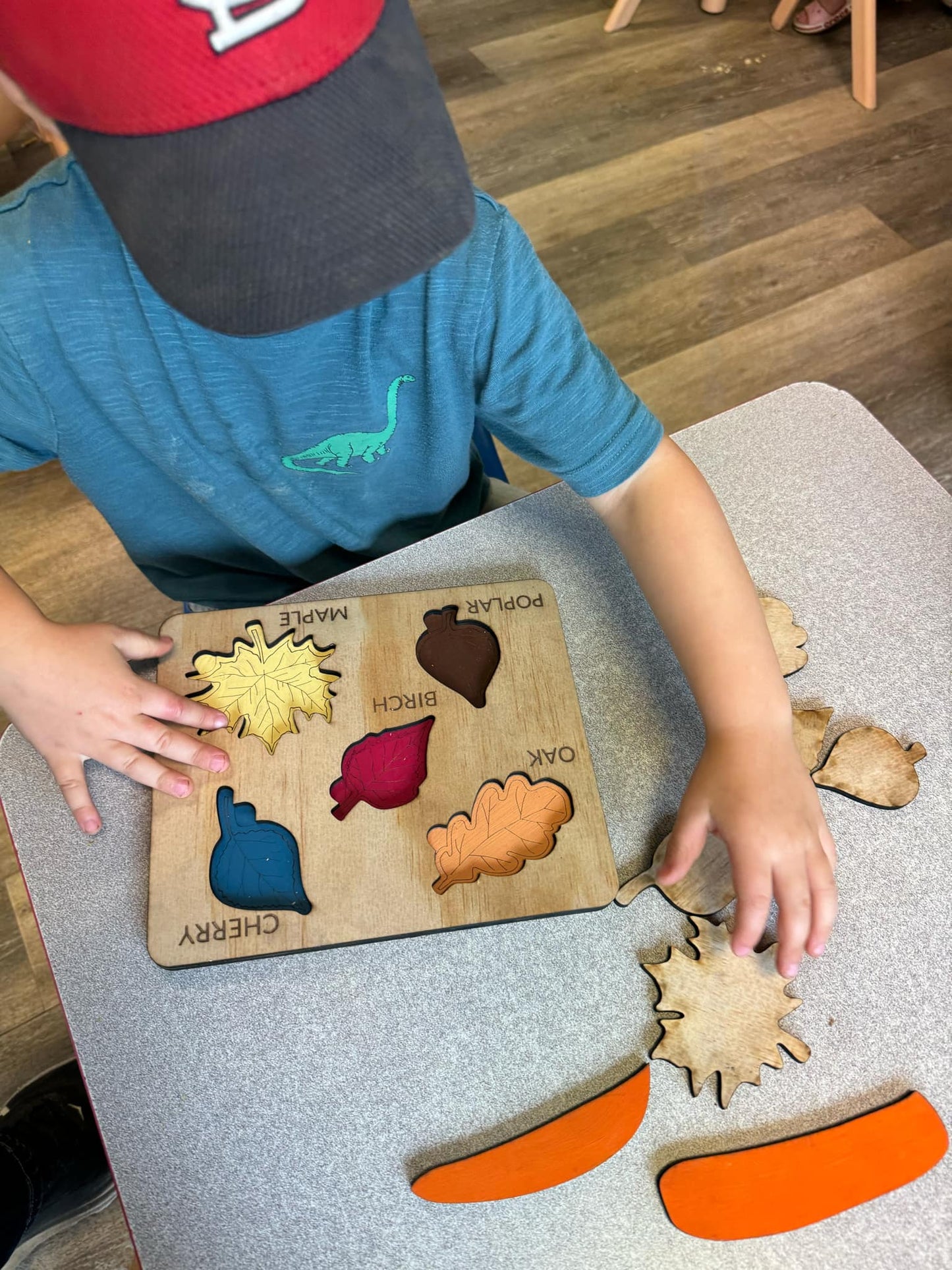 Montessori Wooden Leaf Recognition Puzzle