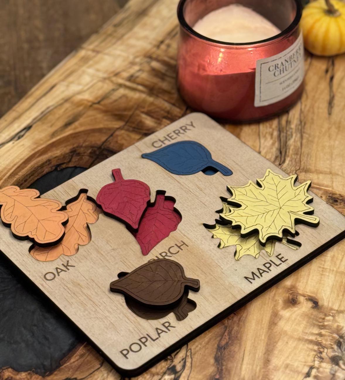 Montessori Wooden Leaf Recognition Puzzle