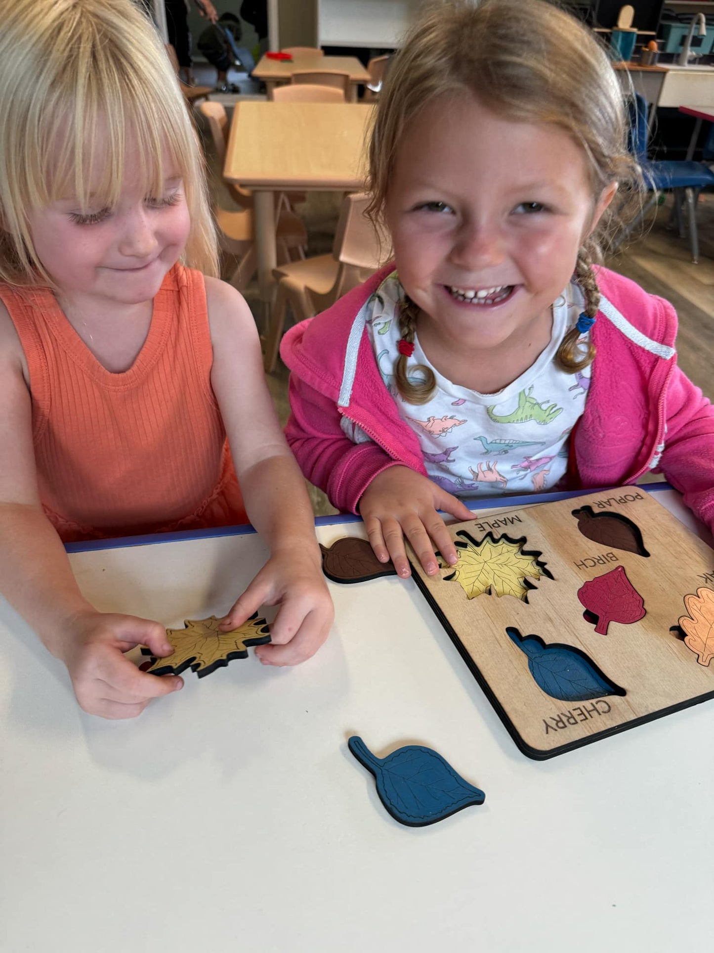 Montessori Wooden Leaf Recognition Puzzle